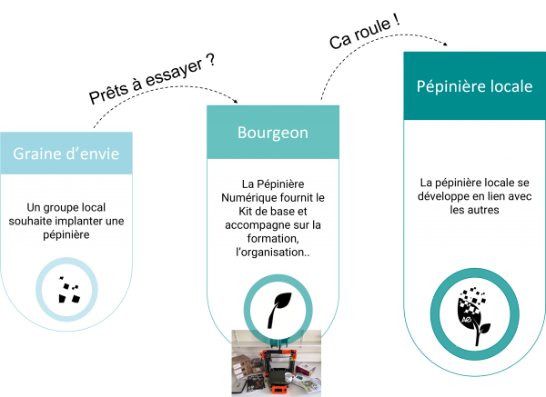 BourgeonsEvolution